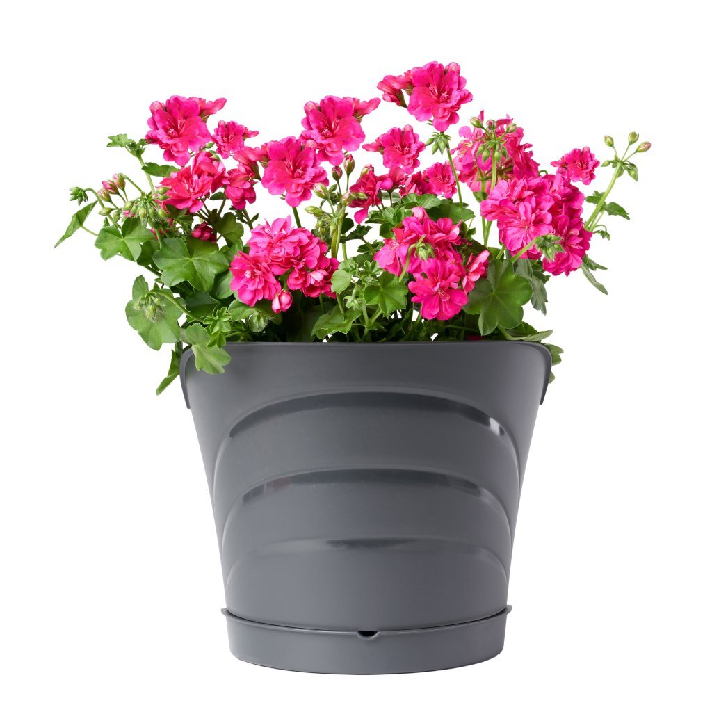 Bama Tulipano Flowerpot 5L 34.5x19x30 cm 4 pezzi di antracite