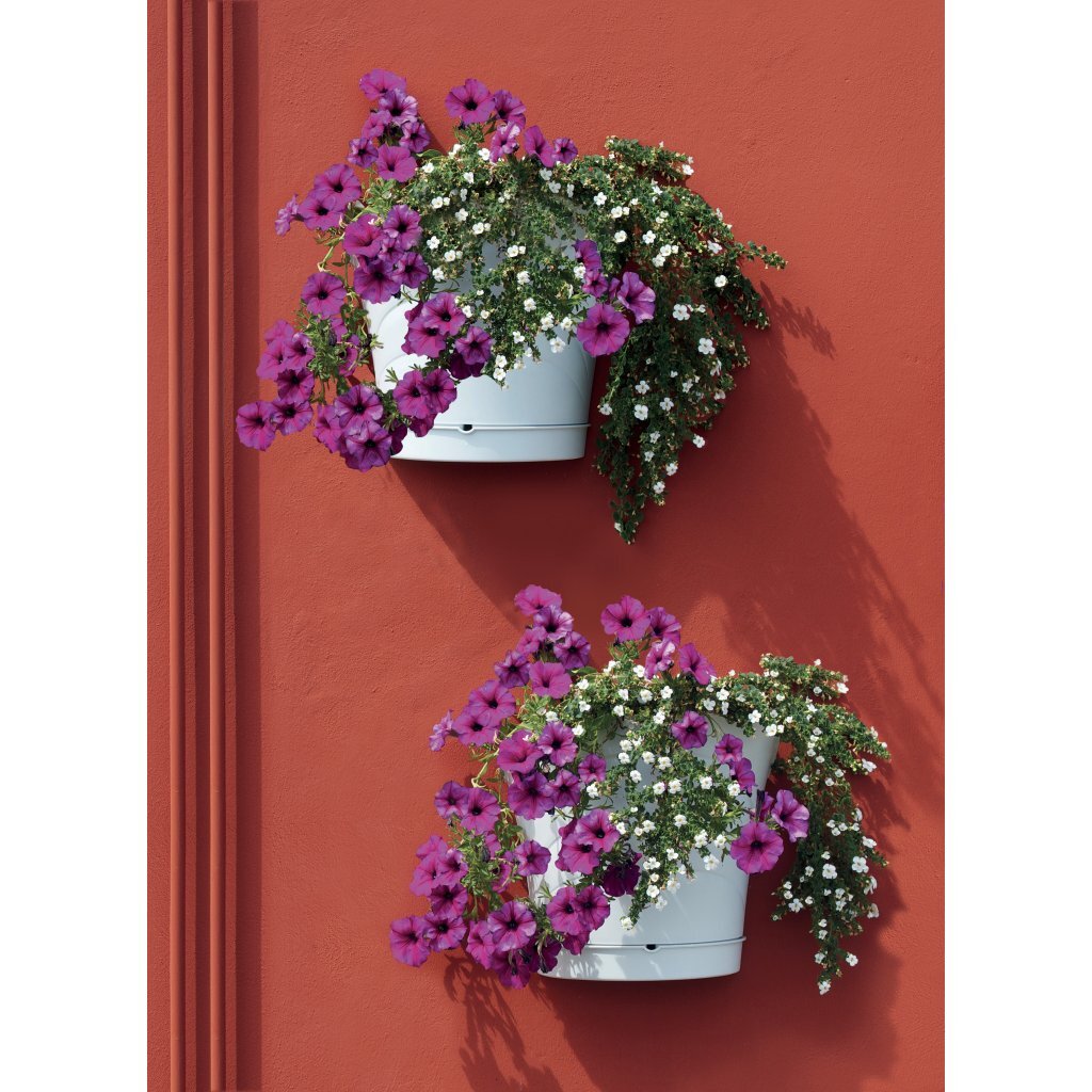 Bama Tulipano Flowerpot 5L 34.5x19x30 cm 4 pezzi bianchi