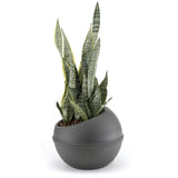 Bama sfera bloempot 23l 40.5x32 cm antraciet - afbeelding 2