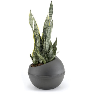 Bama Sfera Bloempot 23L 40.5x32 cm Antracite