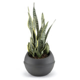 Bama sfera bloempot 23l 40.5x32 cm antraciet - afbeelding 3