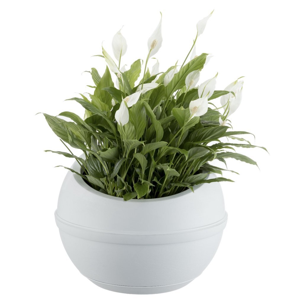 Bama Sfera Bloempot 23L 40.5x32 cm bianco