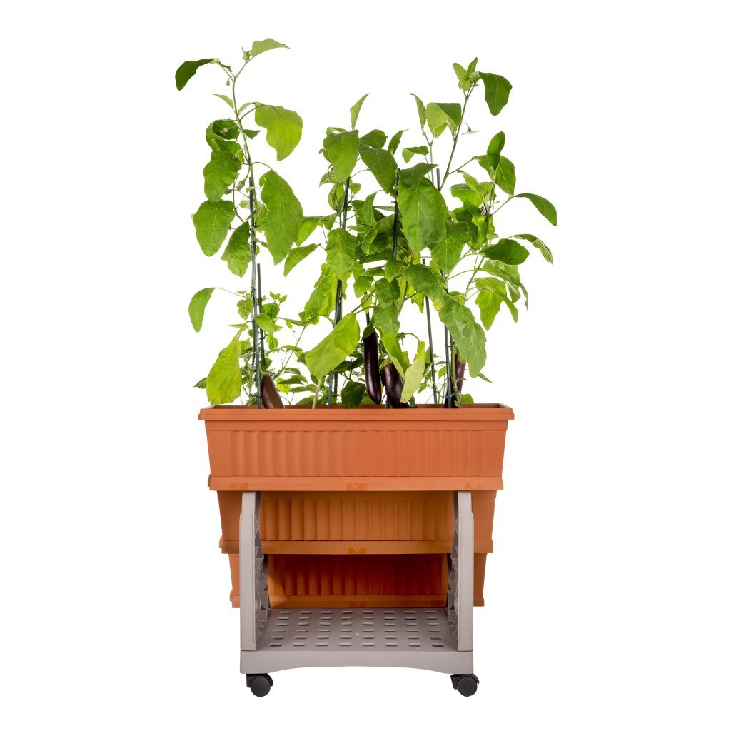 Bama orto di kit plantenbakken 80x74x73 cm terracotta