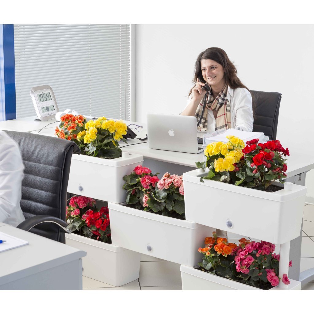 Bama brick koppelbare plantenbakken 75l 59x23x27 cm 5 stuks wit