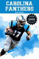 Carolina panthers fun facts