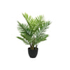 Palma Decoris in vaso 61x61x73cm