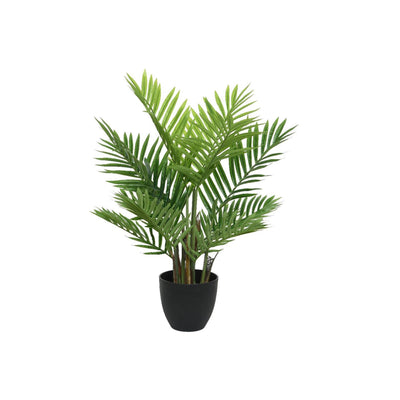 Palma Decoris in vaso 61x61x73cm