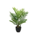 Decoris palmboom in pot plastic 61x61x73cm