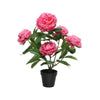Decoris pianta artificiale peonia h57cm fucsia