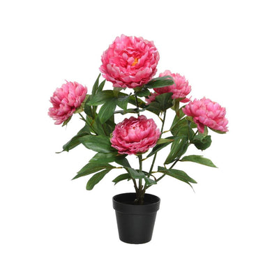 Decoris planta artificial peonía h57cm fucsia