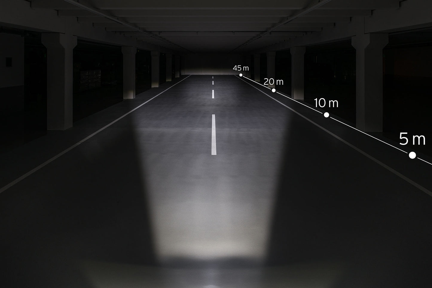 BUSCH MULLER FIECCHI