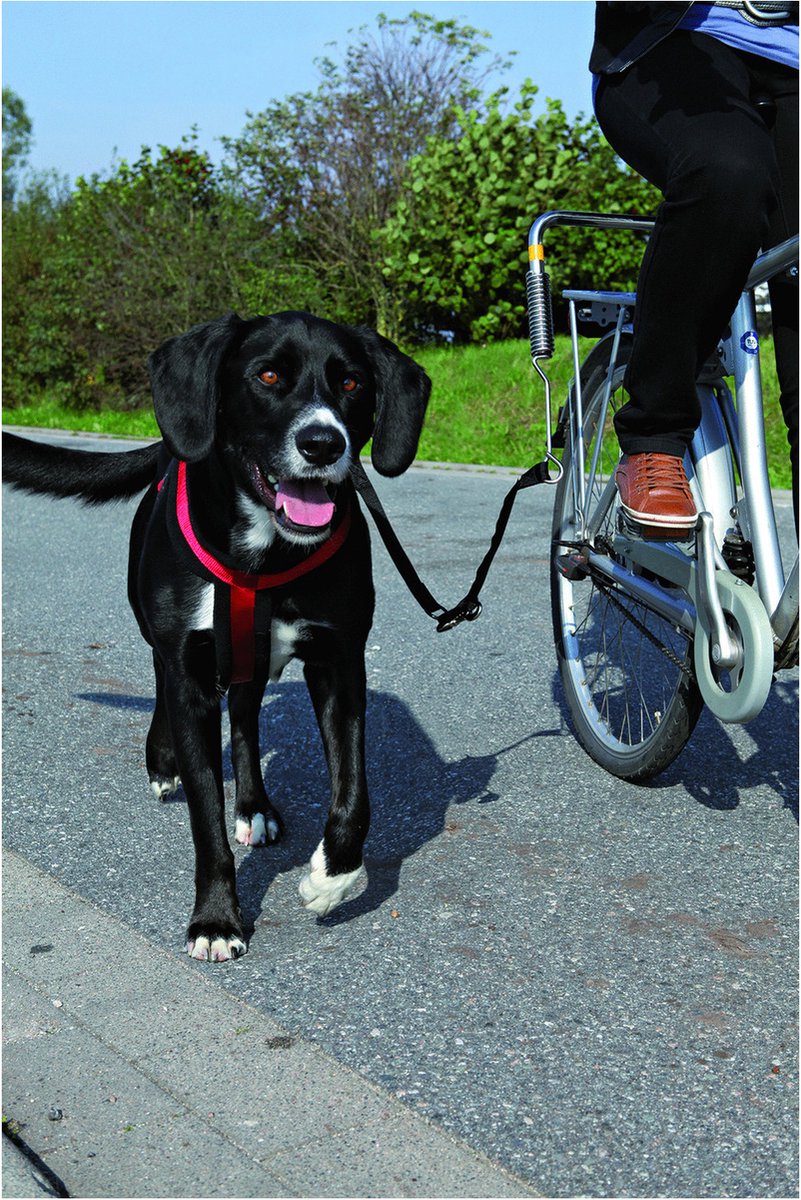 Trixie Bikerset bicycle bracket Springer