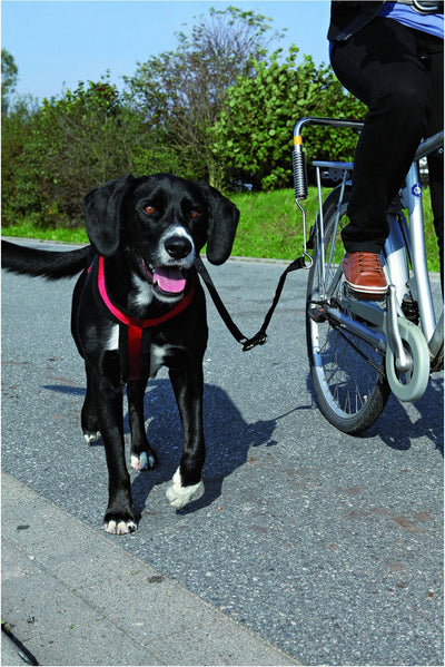 Trixie bikerset bicicleta sopor springer
