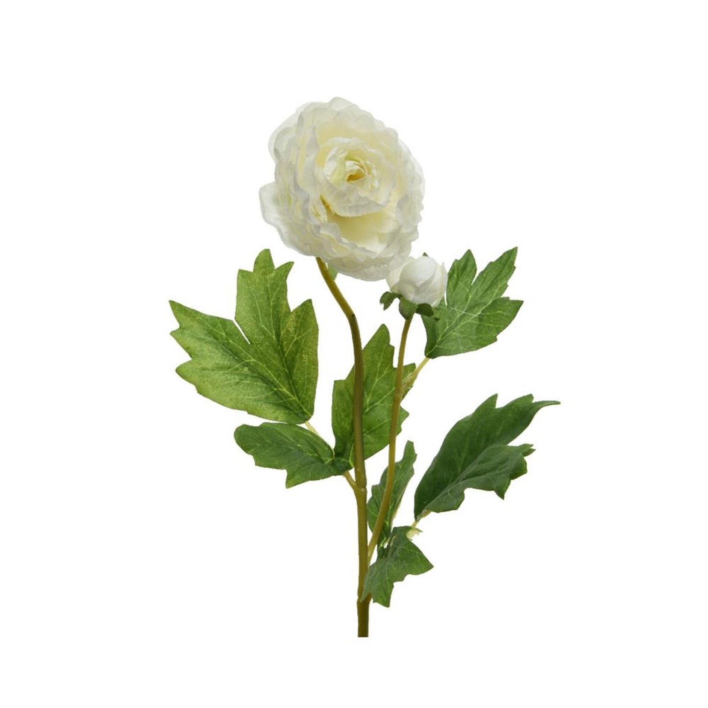 Decoris ranunculus h57cm blanco
