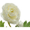 Decoris ranunculus h57cm blanco