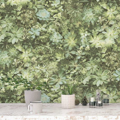 Noordwand Wallpaper Noordwand Wallpaper Evergreen Succulento Groen e Beige