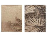 Decoris wanddoek met ophangogen 90x120cm fotoprint met palmblad 2 stuks - afbeelding 1