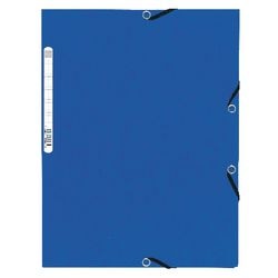 Cartella di smistamento exacompta 55302e cartoncino a4 fiammato