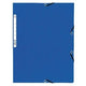 Cartella di smistamento exacompta 55302e cartoncino a4 fiammato