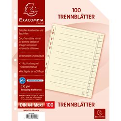 Strisce divisorie exacompta a4 xl