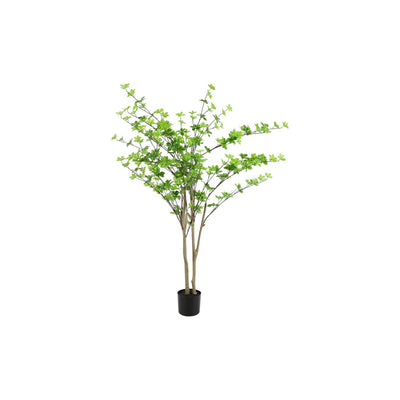 Planta Countryfield disosma m verde