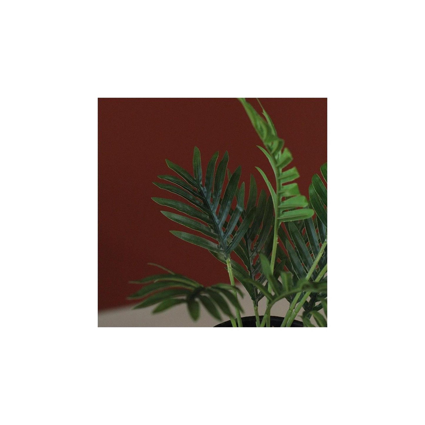 Countryfield kunstplant areca groen 23xh30cm