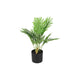 Pianta artificiale Countryfield Areca verde 23xh30cm