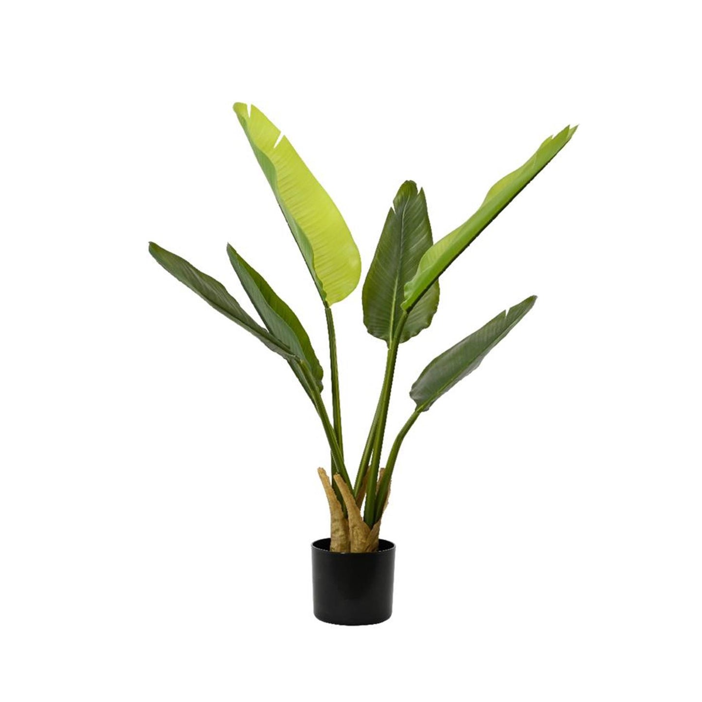 Decoris pianta artificiale strelitzia h90cm