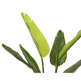 Decoris planta artificial strelitzia h90cm - afbeelding 2