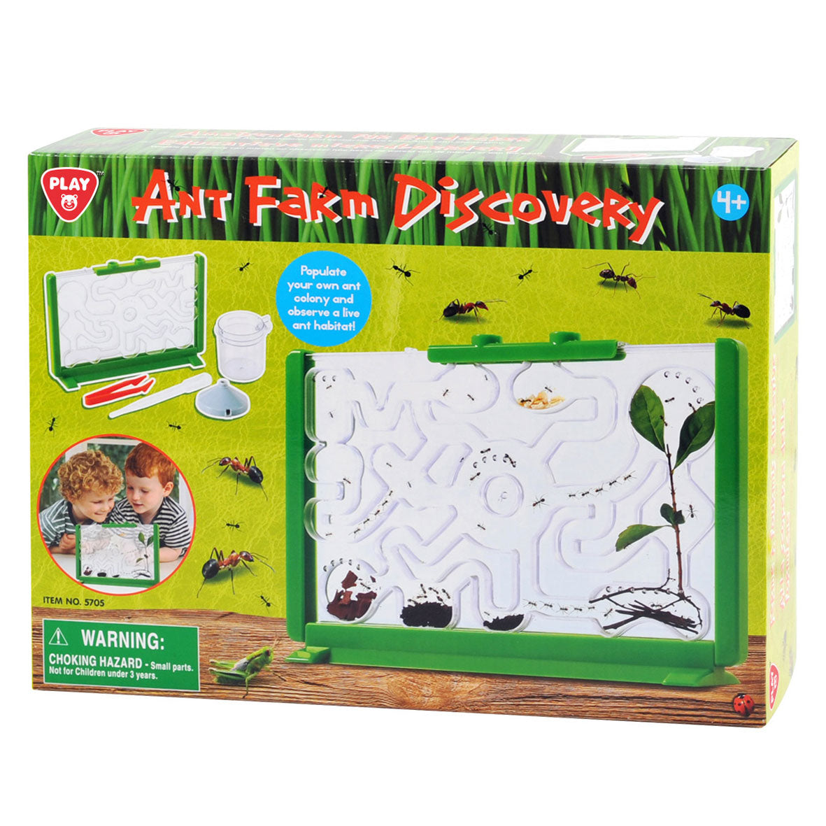 Play ants viewing box