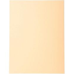 Carpeta clasificadora exacompta 420002e 170 g m salmón a4