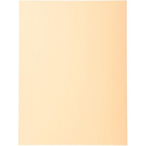 Sorteermap exacompta 420002e 170 g m zalm a4