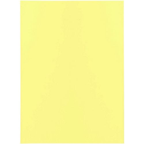 Carpeta clasificadora bangali exacompta 850005e papel reciclado 60g m2 31x22cm amarillo