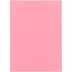 Carpeta clasificadora bangali exacompta 850003e papel reciclado 60g m2 31x22cm rosa