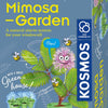 Set de juego de jardín selecta cosmos mimosa