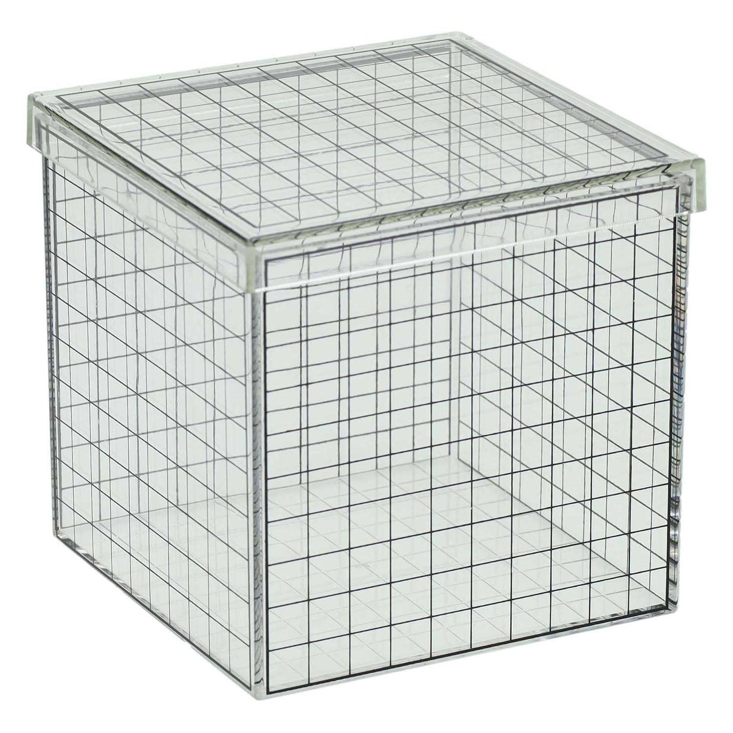 Transparante 3d rasterkubus - 10x10x10 cm