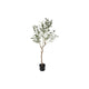 Olivo campestre olea europaea l 105cm