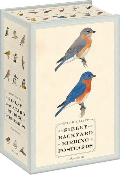 Cartoline di birdwatching nel cortile di Isbn Sibley
