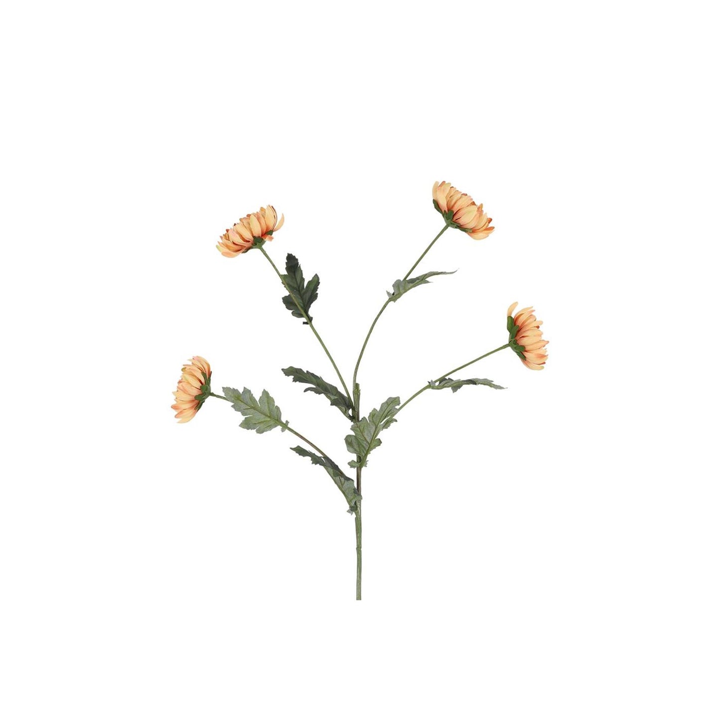 Ramo artificiale Countryfield crisantemo beige 20xh83,8 cm