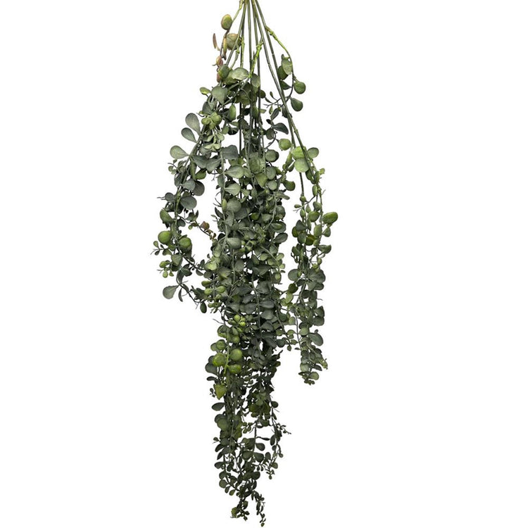 Roberts collection planta artificial colgante dischidia verde 100cm