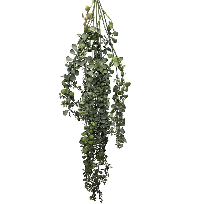 Roberts collection kunst hangplant dischidia groen 100cm