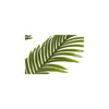 Pianta artificiale Countryfield kentia m verde l70w70h100cm