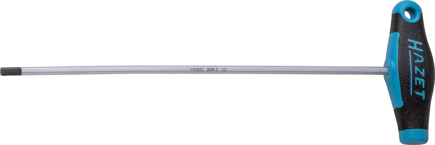 HAZET 6-CTNER SCLEWDR.3 mm 828-3