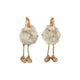 Pollo Countryfield m gambe penzolanti pien m