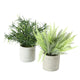 Boltze home planta artificial romero o helecho