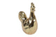 Gallo countryfield oro 17x11x25 cm