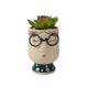 Decoris pianta artificiale in vaso viso h13,5cm