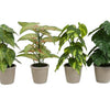 Planta artificial Countryfield verde ø18x30cm