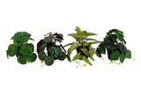 Countryfield artificial plant hanging h20cm - afbeelding 1