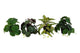 Pianta artificiale Countryfield sospesa h20cm